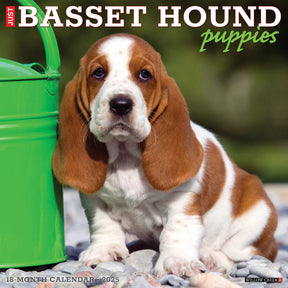 2025 Basset Hound Puppies Calendar