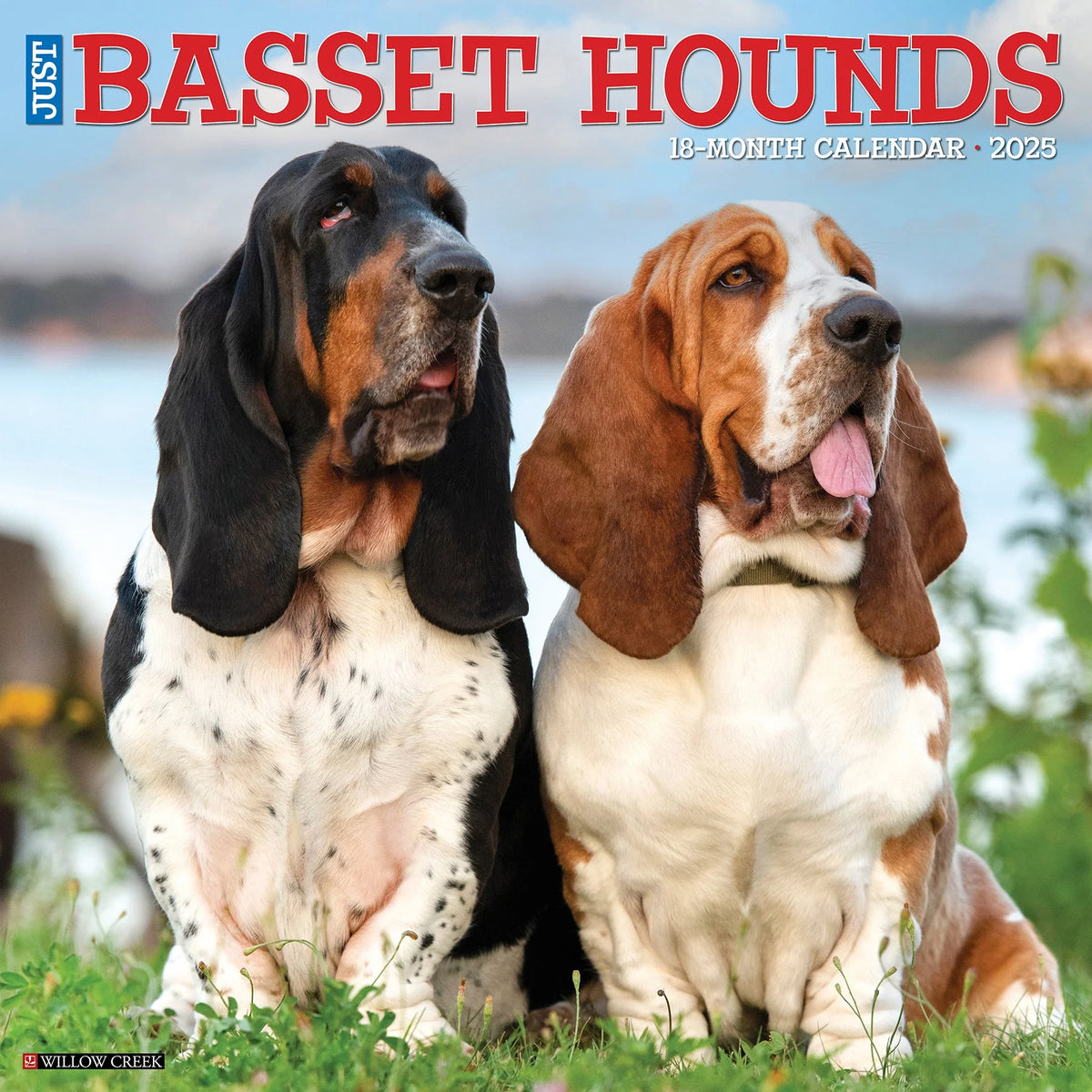 2025 Basset Hounds Calendar