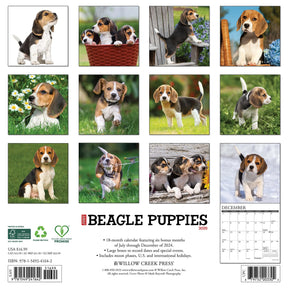 2025 Beagle Puppies Calendar