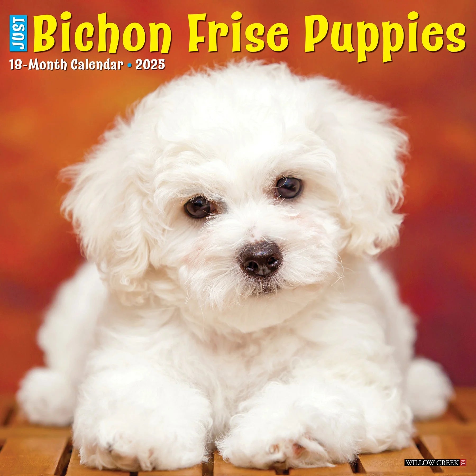 2025 Bichon Frise Puppies Calendar