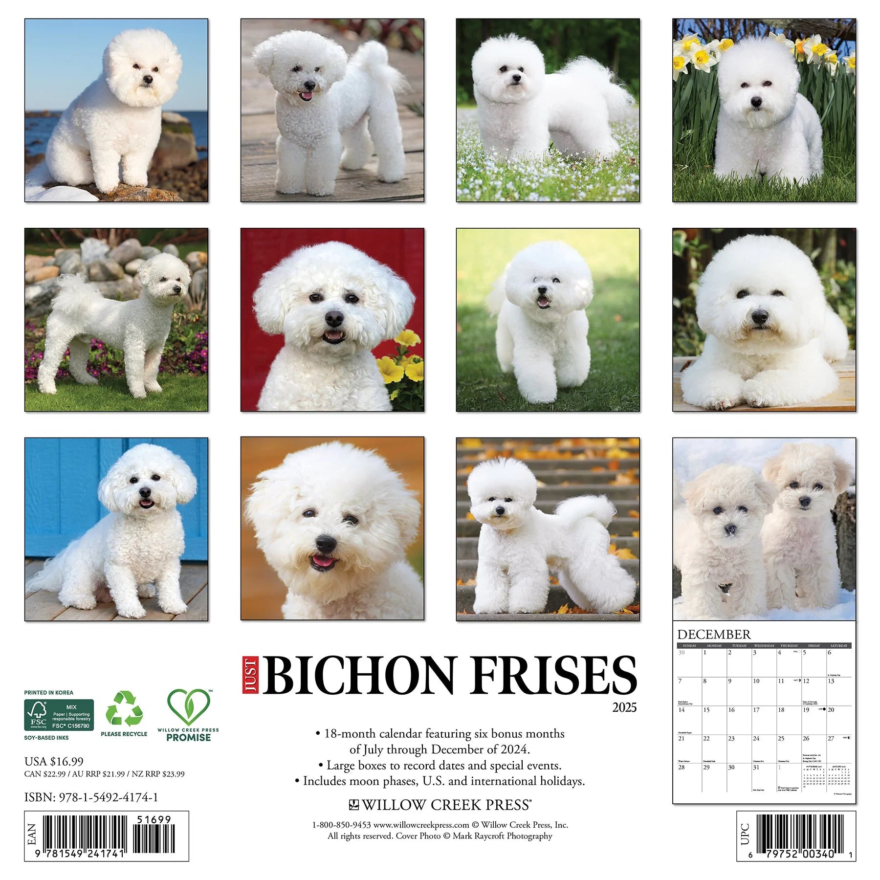 2025 Bichon Frises