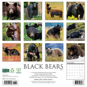 2025 Black Bears Calendar