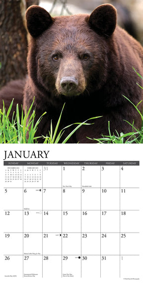 2025 Black Bears Calendar