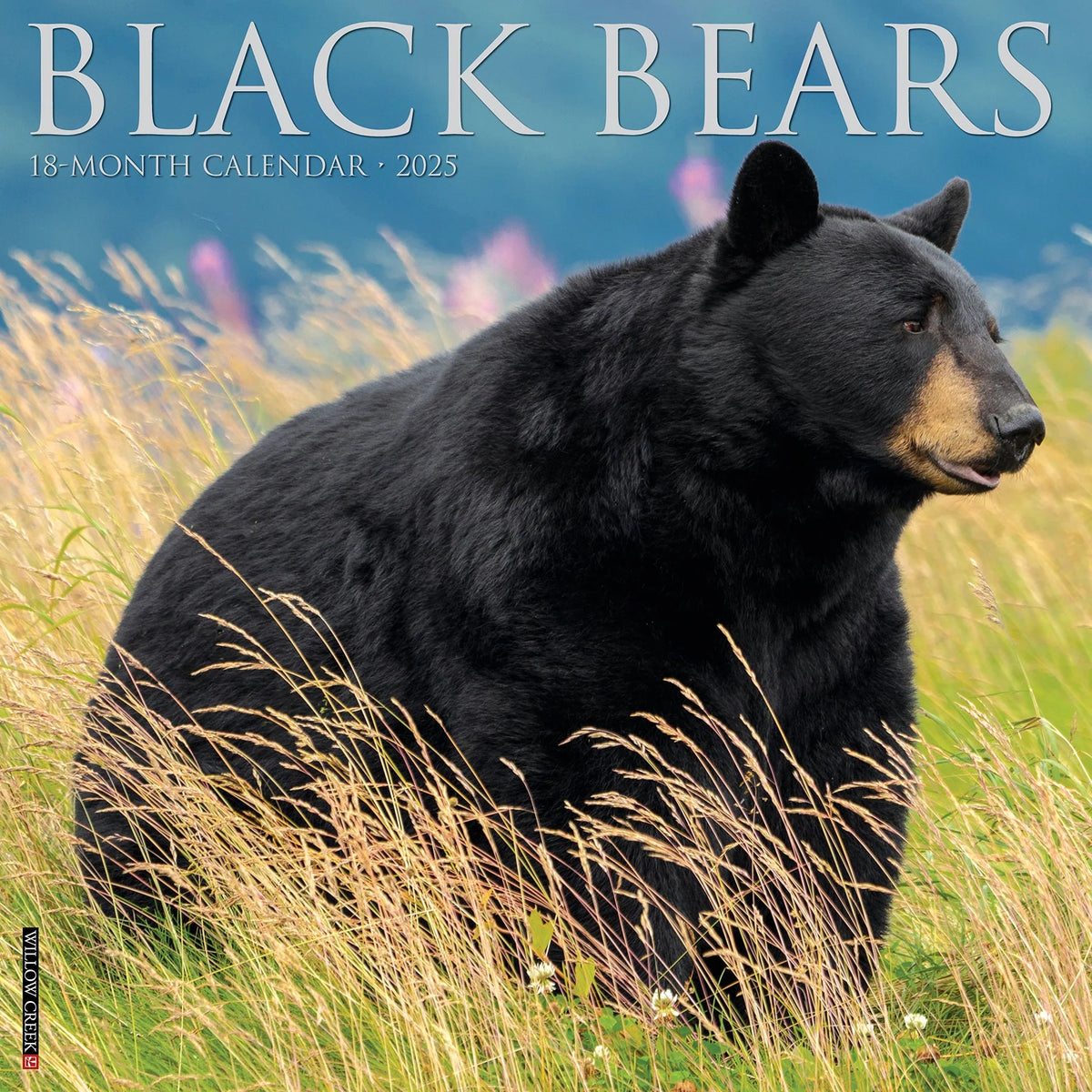 2025 Black Bears Calendar