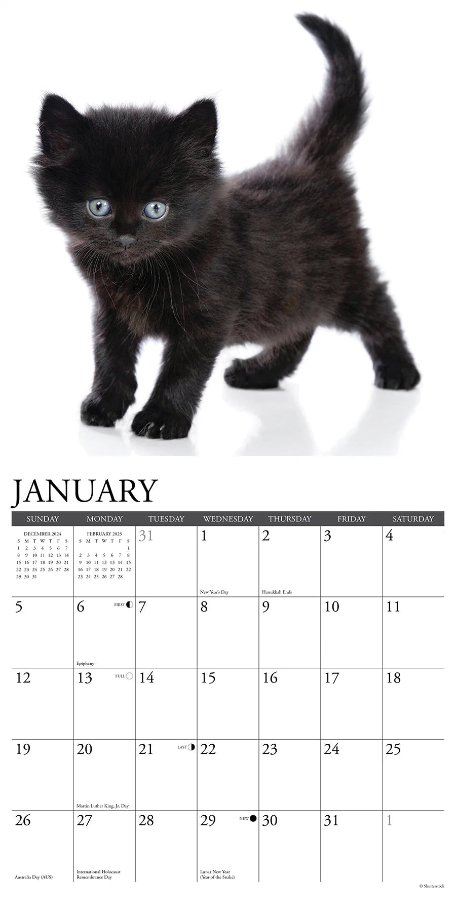 2025 Black Kittens Calendar