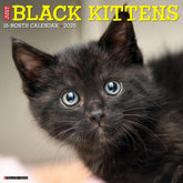 2025 Black Kittens Calendar