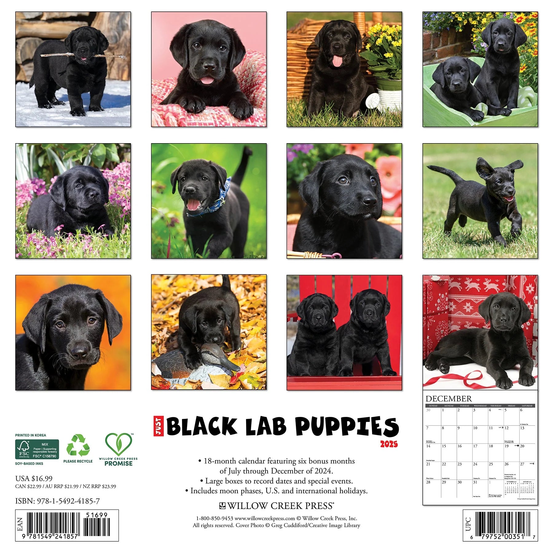 2025 Black Lab Puppies Calendar