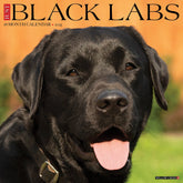 2025 Black Labs Calendar