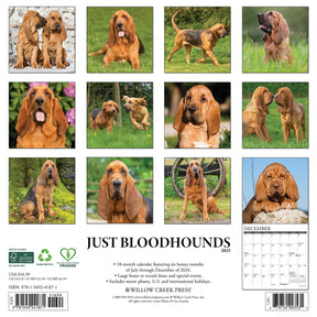 2025 Bloodhounds Calendar