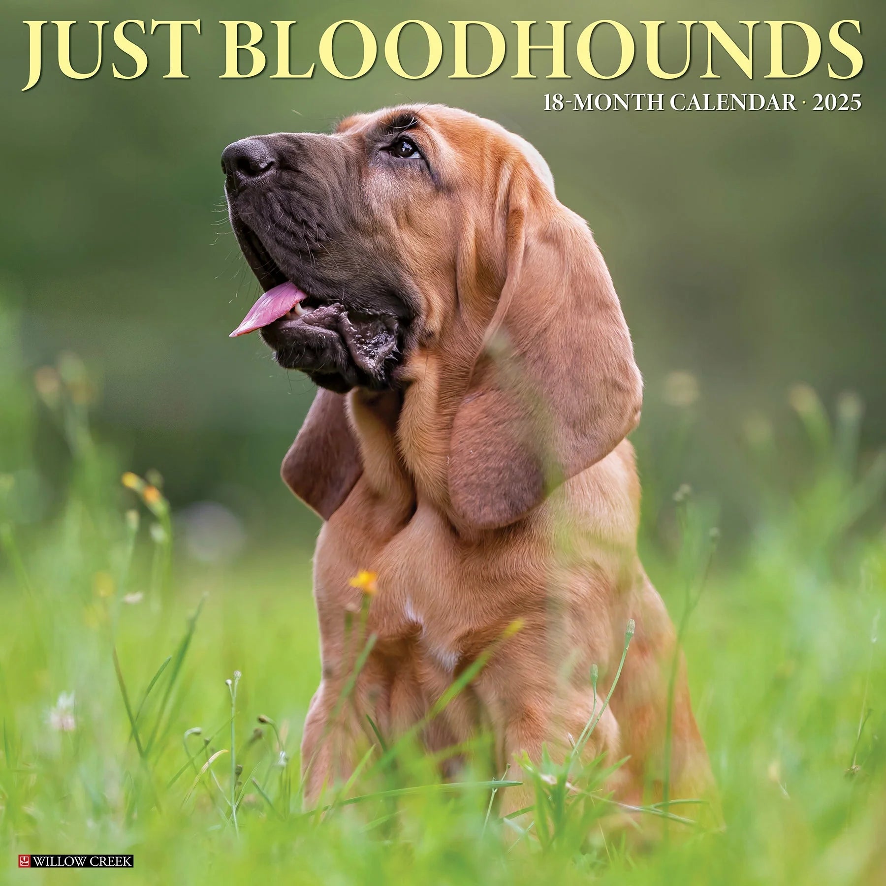 2025 Bloodhounds Calendar