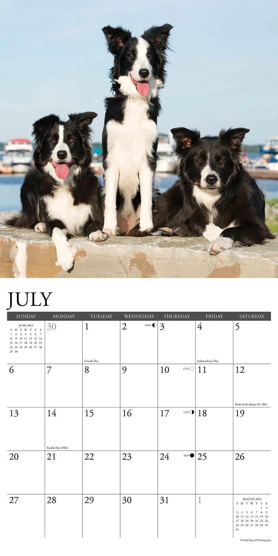 2025 Border Collies Calendar