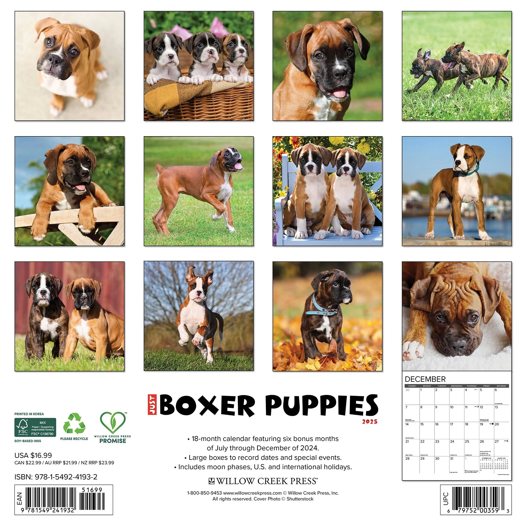 2025 Boxer Puppies Calendar