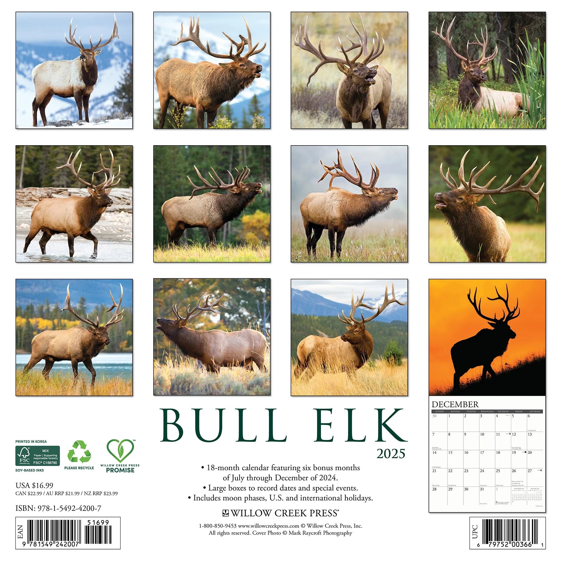 2025 Bull Elk Calendar