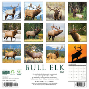 2025 Bull Elk Calendar