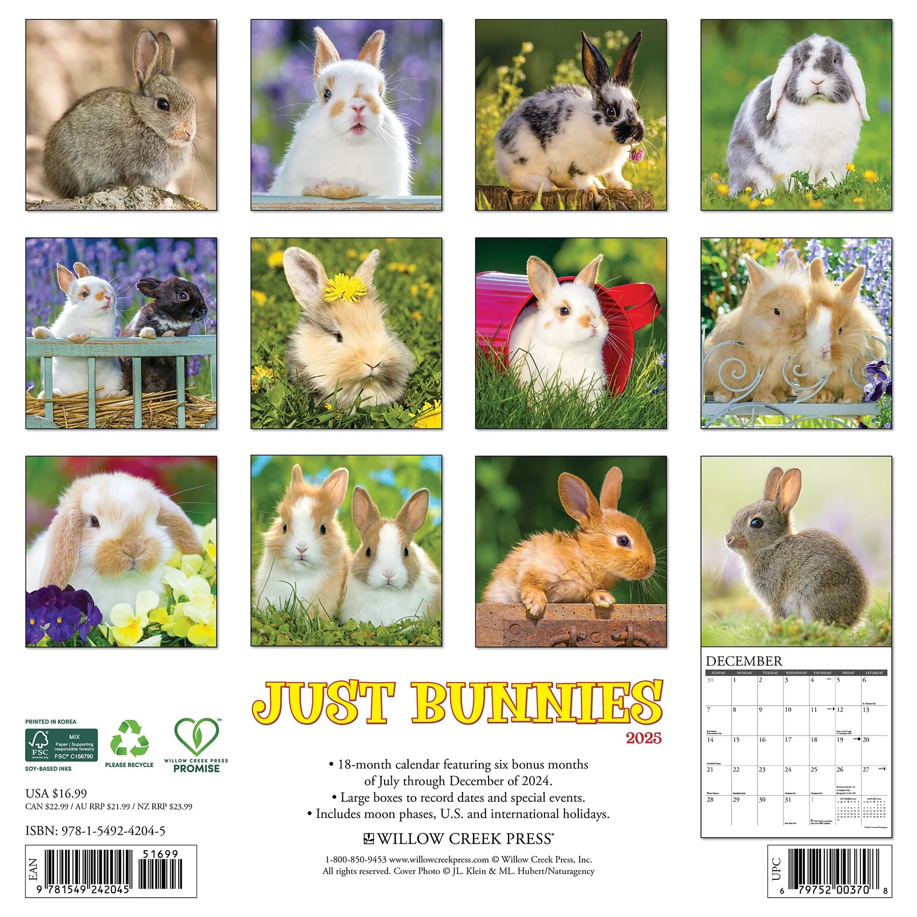 2025 Bunnies Calendar