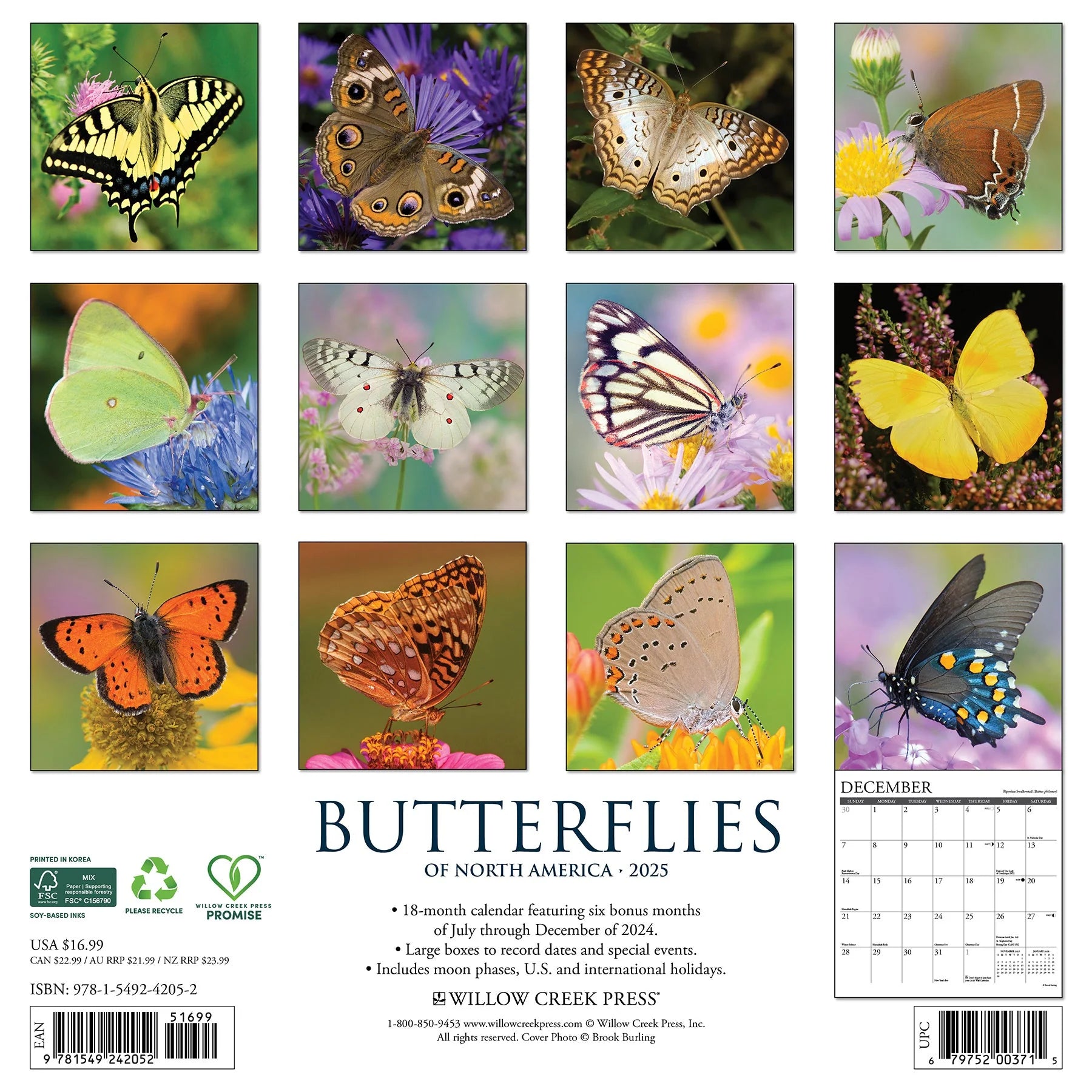 2025 Butterflies Of North America Calendar