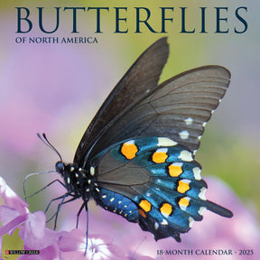 2025 Butterflies Of North America Calendar