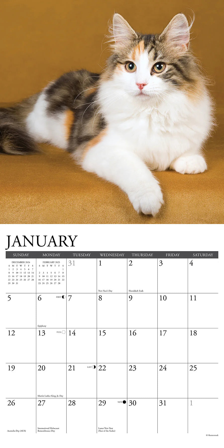 2025 Calico Cats Calendar