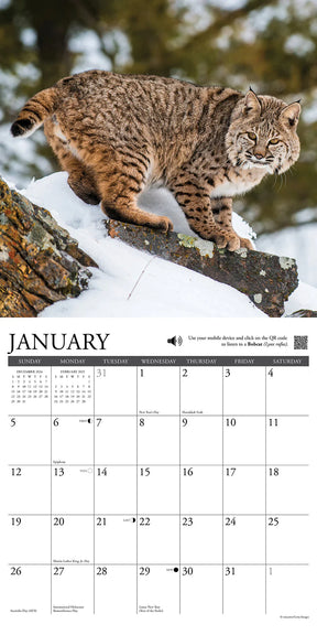 2025 Call Of The Wild Calendar