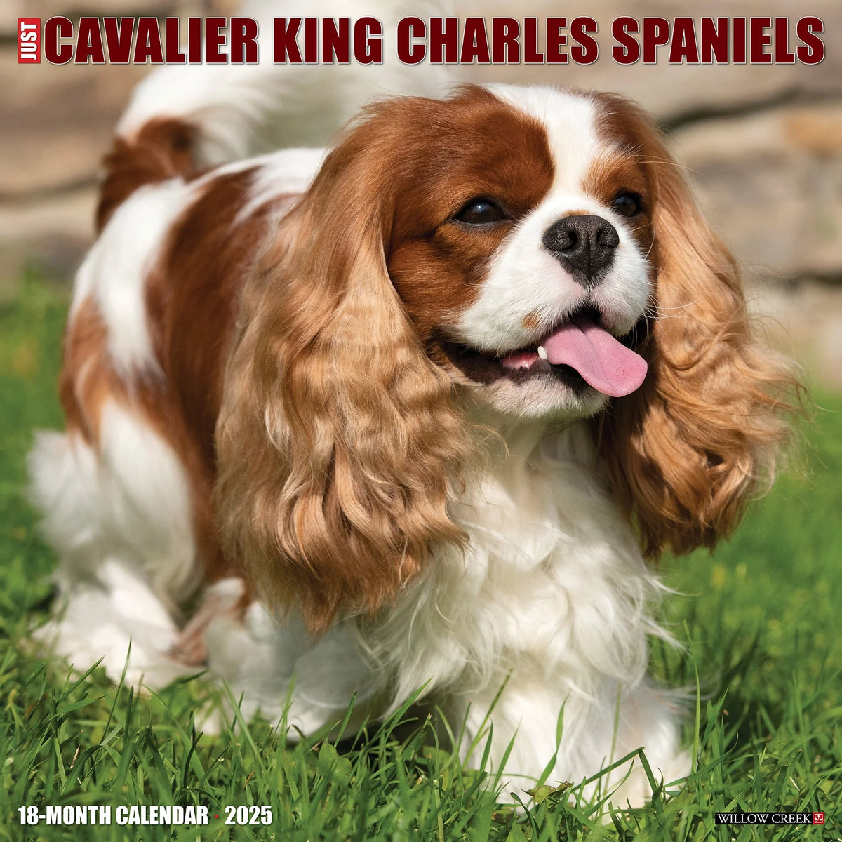 2025 Cavalier King Charles Spaniels Calendar