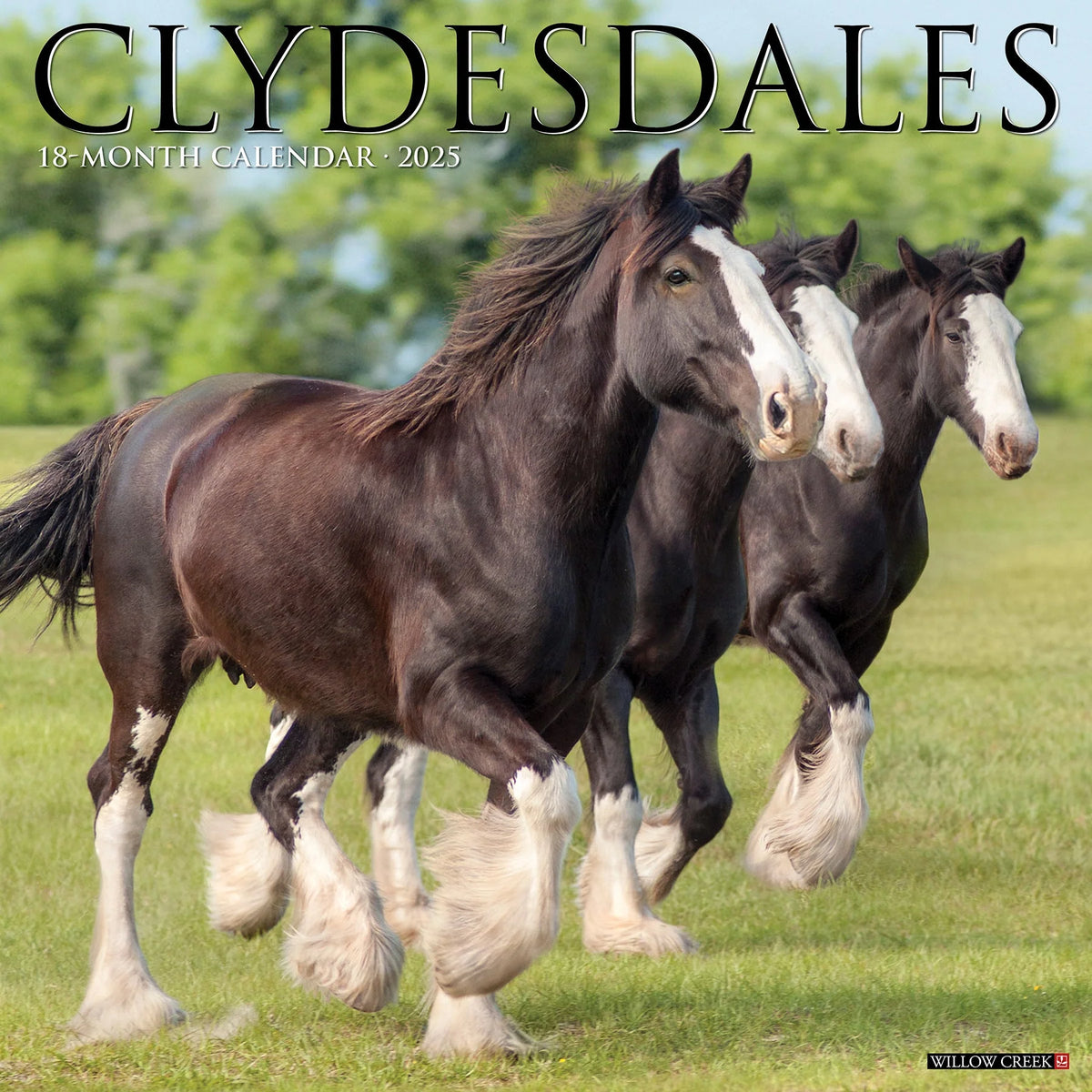 2025 Clydesdales Calendar