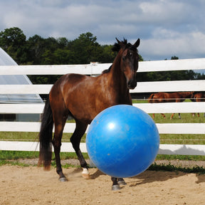 Horsemen's Pride - JP Jolly Mega Ball Large