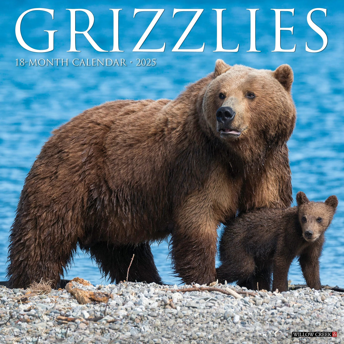 2025 Grizzlies Calendar