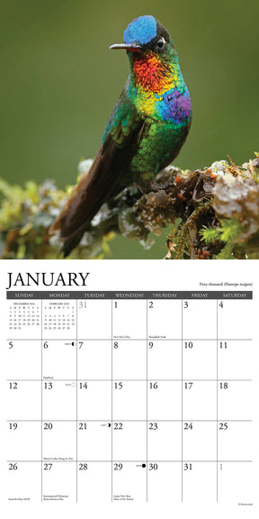 2025 Hummingbirds Calendar