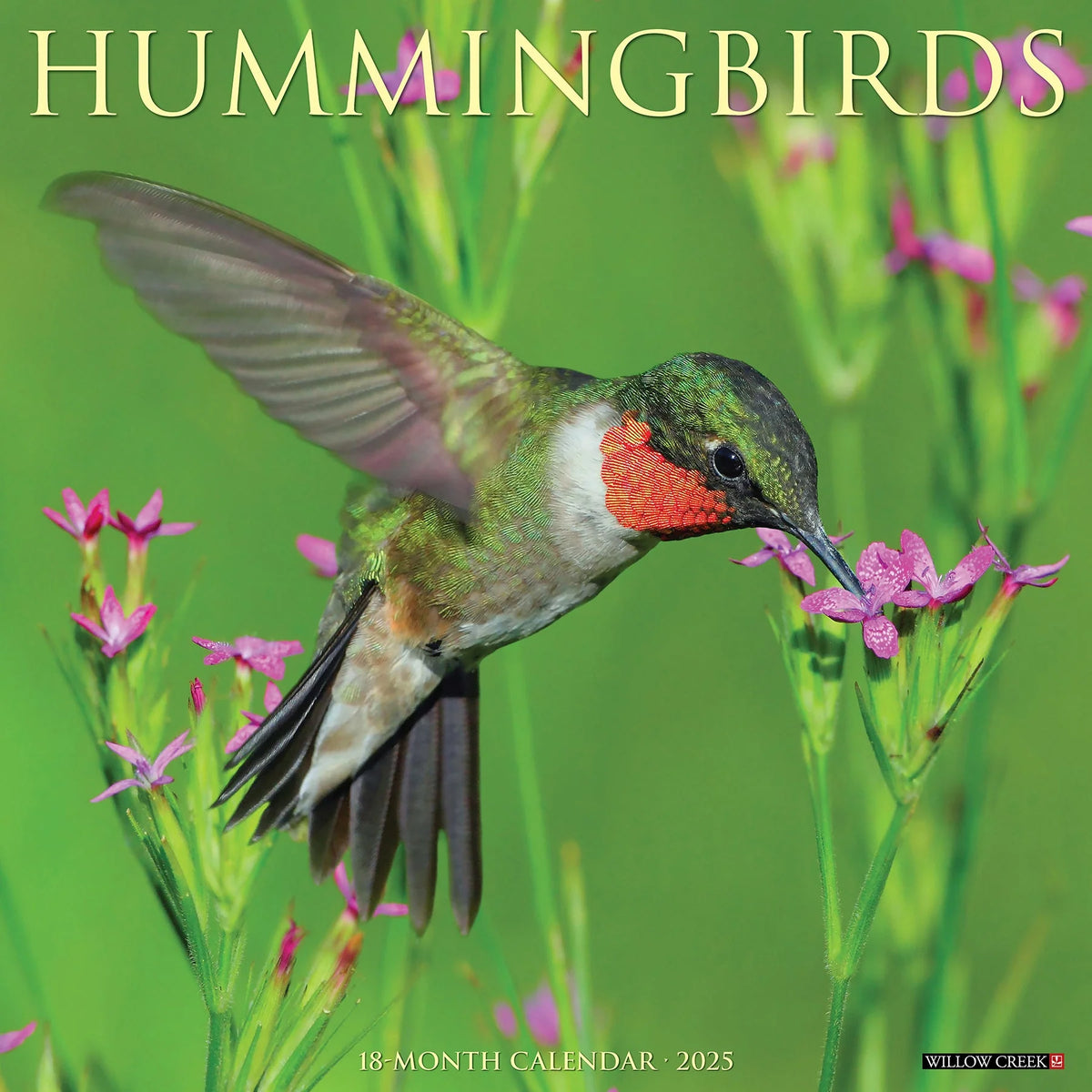 2025 Hummingbirds Calendar