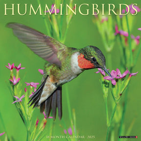 2025 Hummingbirds Calendar