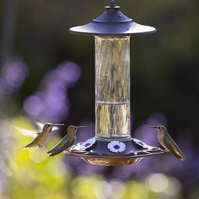 More Birds - Prestige Hummingbird Feeder