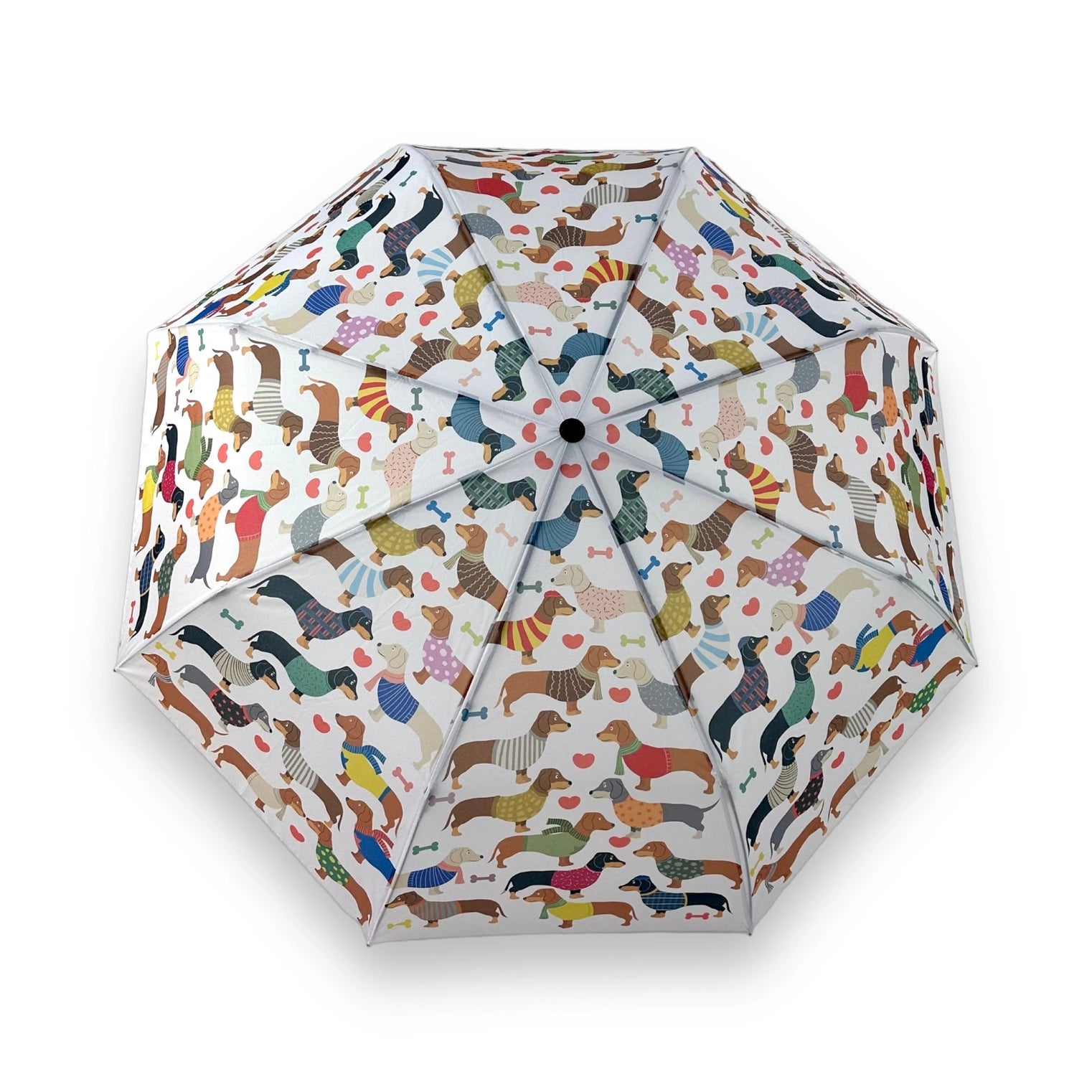 Naked Decor - Dachsund Nation Umbrella