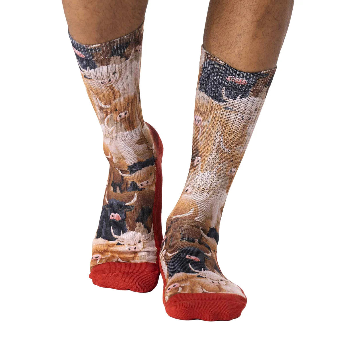 Good Luck Sock - Highland Cows