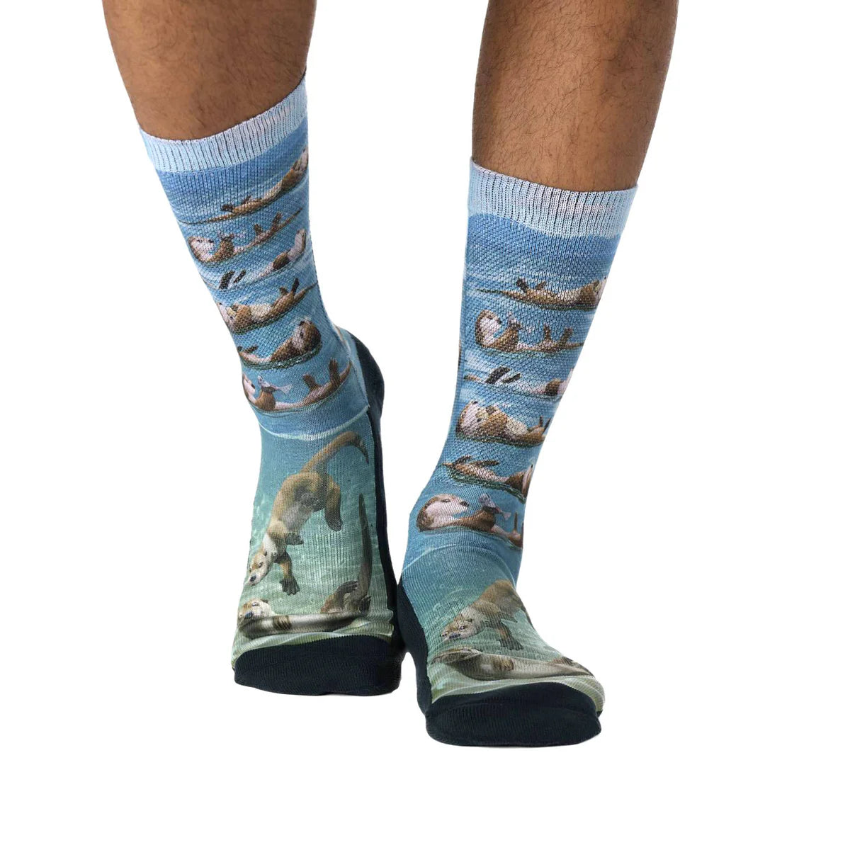 Good Luck Sock - Floating Sea Otter