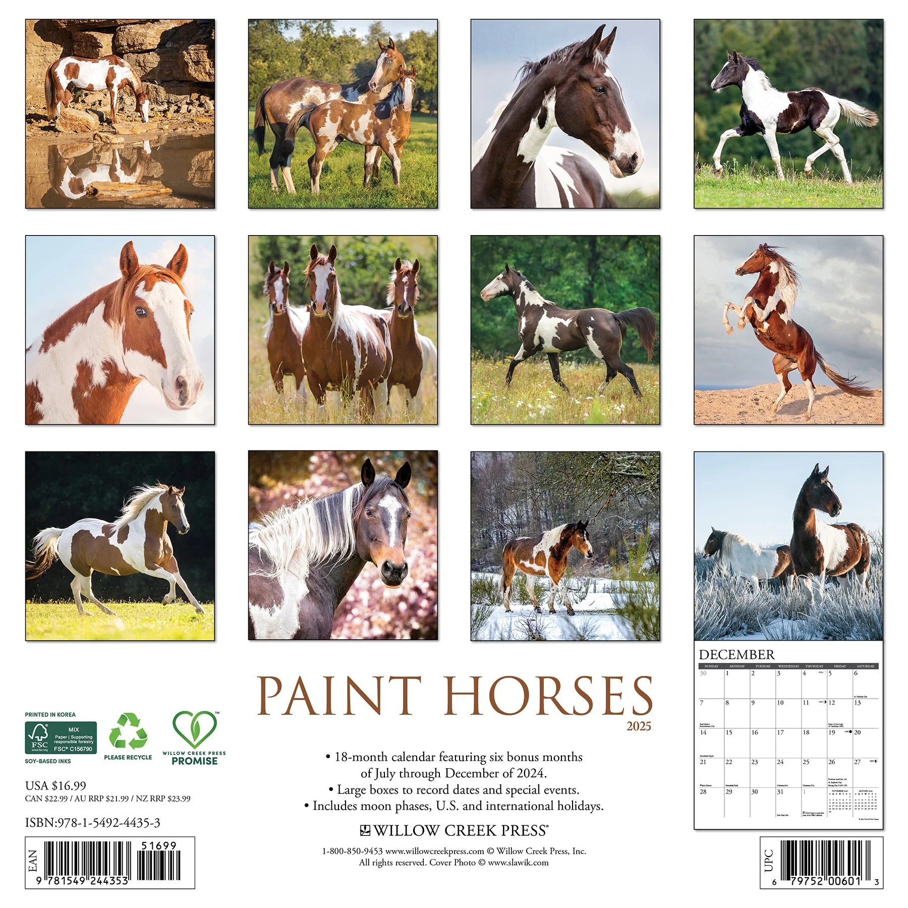 2025 Paint Horses Calendar