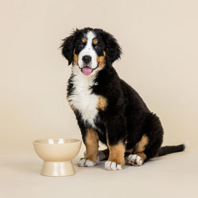 Petshop by Fringe Studio - Feeder Raised Sand