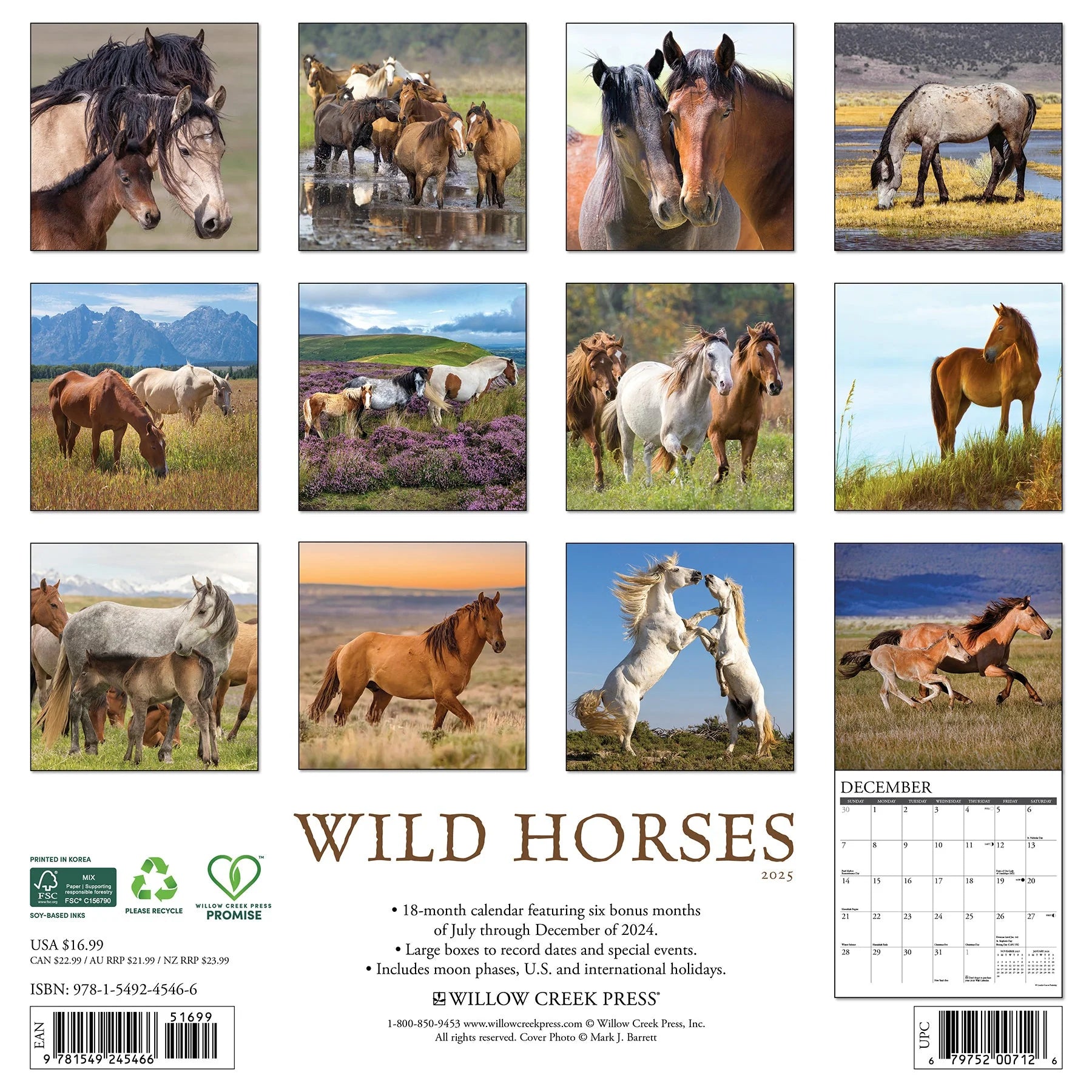 2025 Wild Horses Calendar