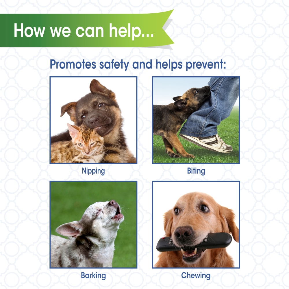 Four Paws - Muzzle Walk-About Quick-Fit Black