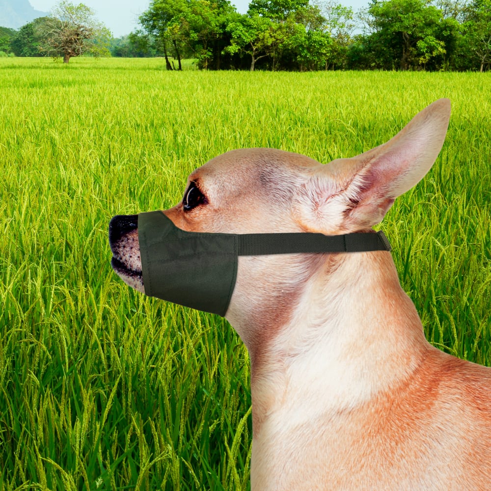 Four Paws - Muzzle Walk-About Quick-Fit Black