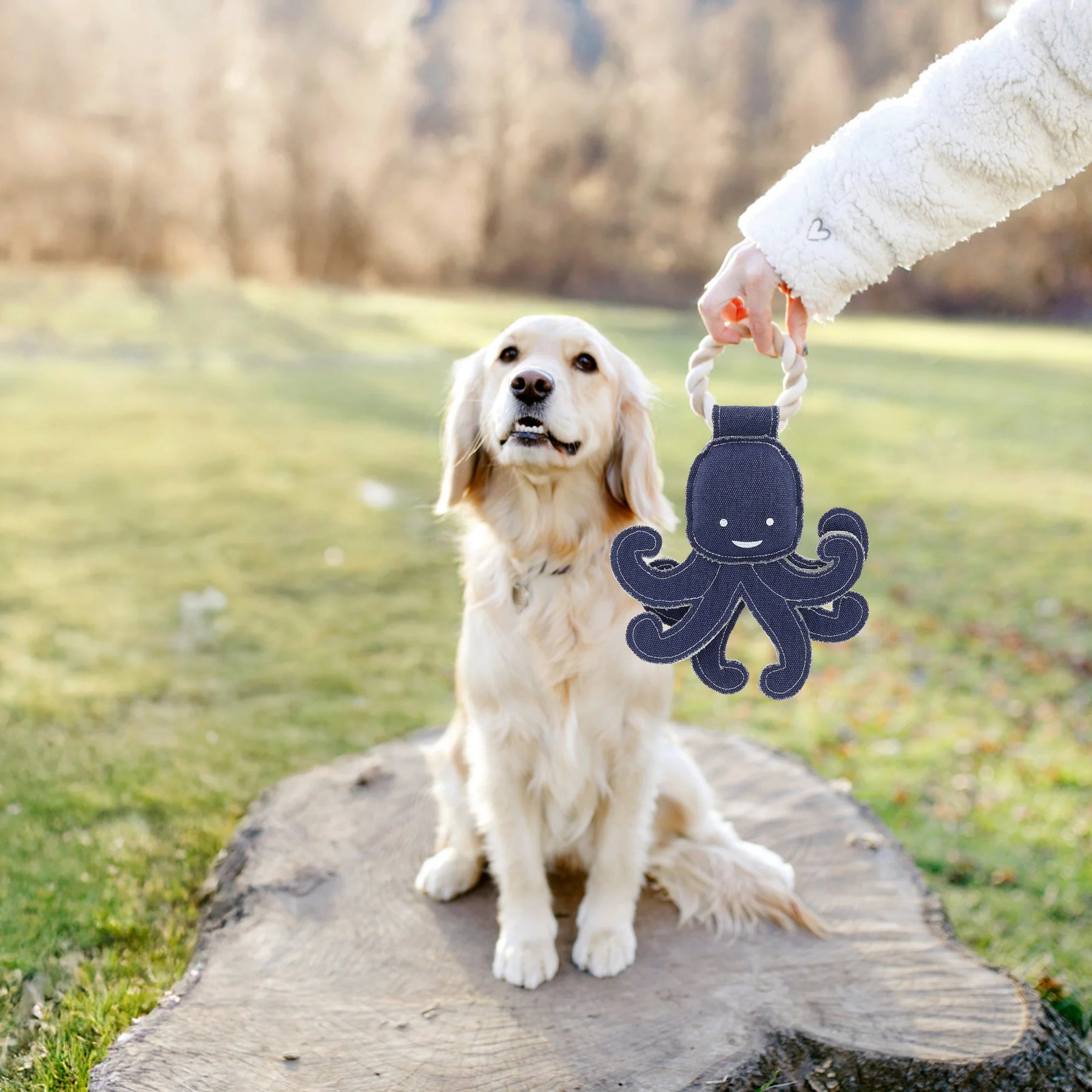 Pavilion - Canvas Dog Toy On Rope Octopus "Out of Reach"