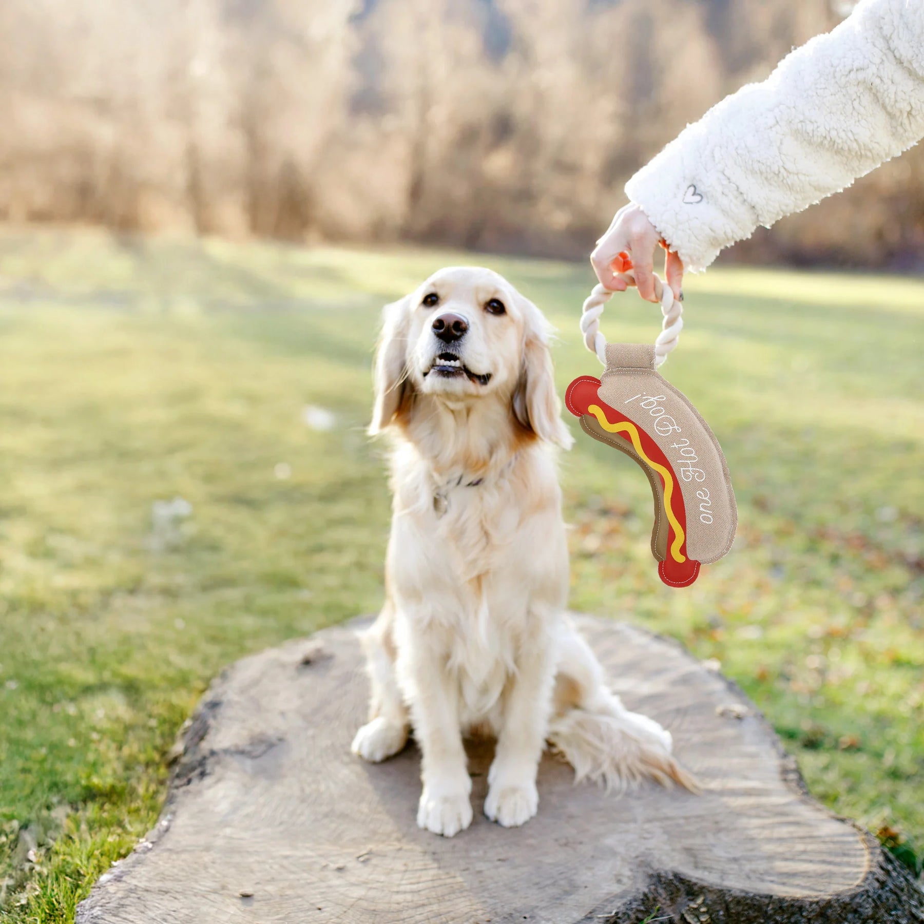 Pavilion - Canvas Dog Toy On Rope Hot Dog