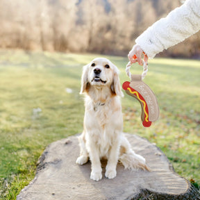 Pavilion - Canvas Dog Toy On Rope Hot Dog