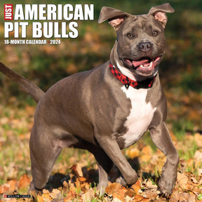 2024 American Pit Bull Terrier Calendar