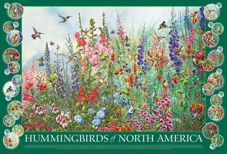 Outset Media - Puzzle Hummingbirds of North America