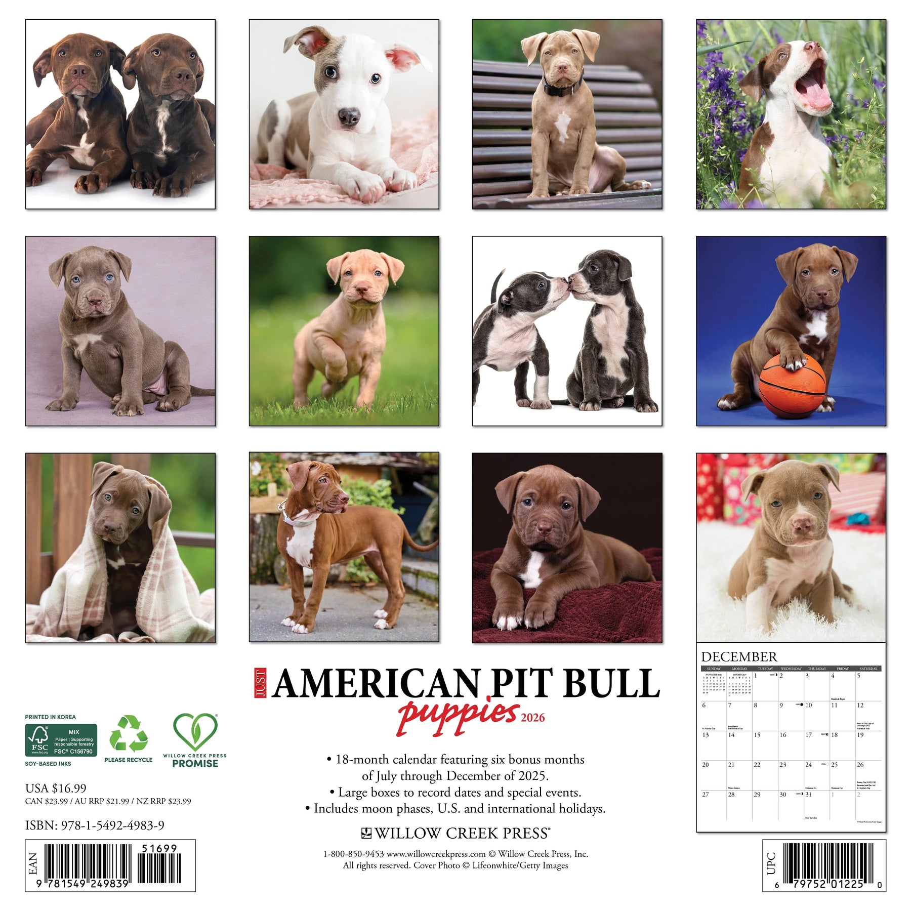 Willow Creek Press - 2026 American Pit Bull Puppies Calendar