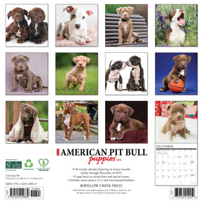 Willow Creek Press - 2026 American Pit Bull Puppies Calendar