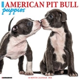Willow Creek Press - 2026 American Pit Bull Puppies Calendar