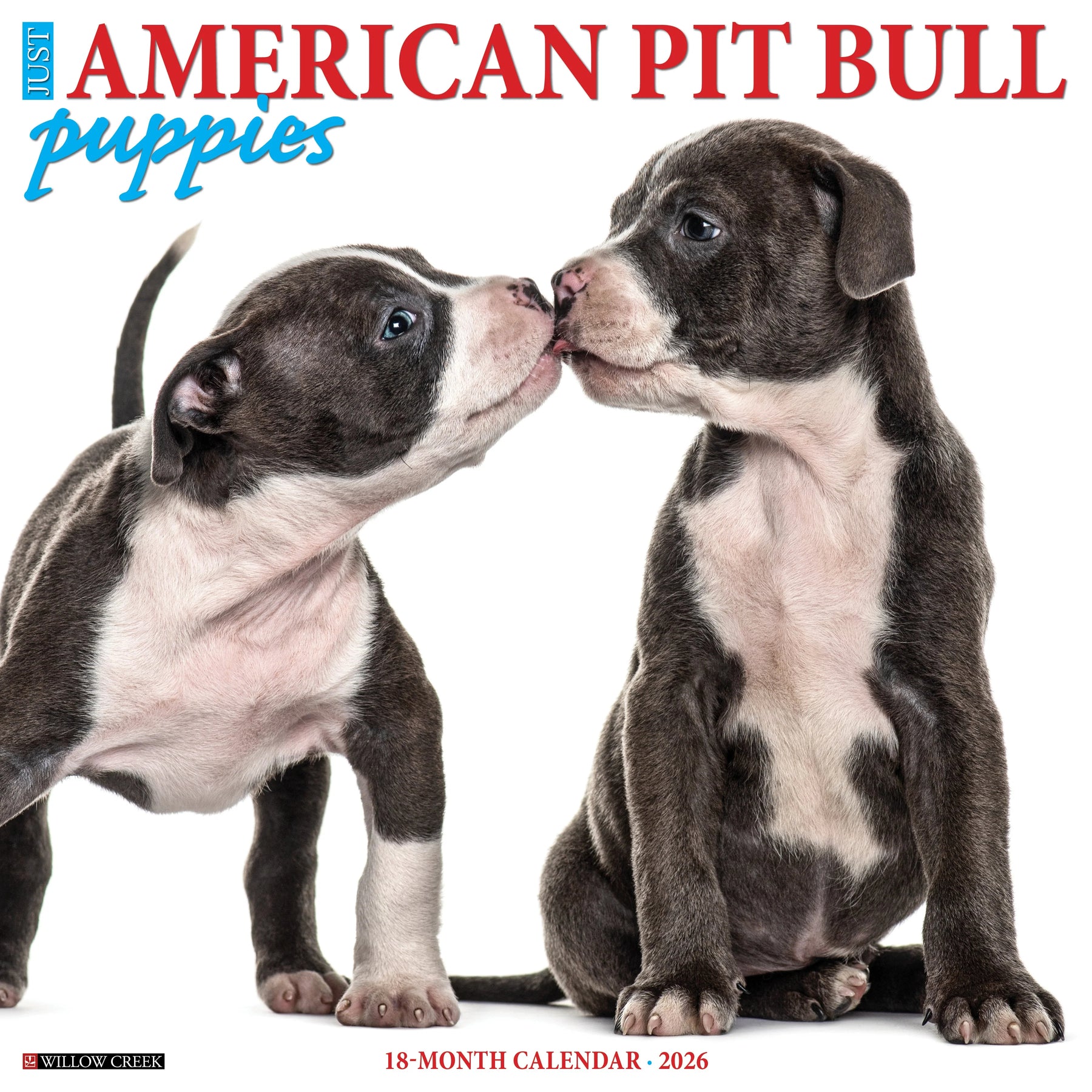 Willow Creek Press - 2026 American Pit Bull Puppies Calendar