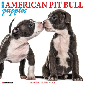 Willow Creek Press - 2026 American Pit Bull Puppies Calendar
