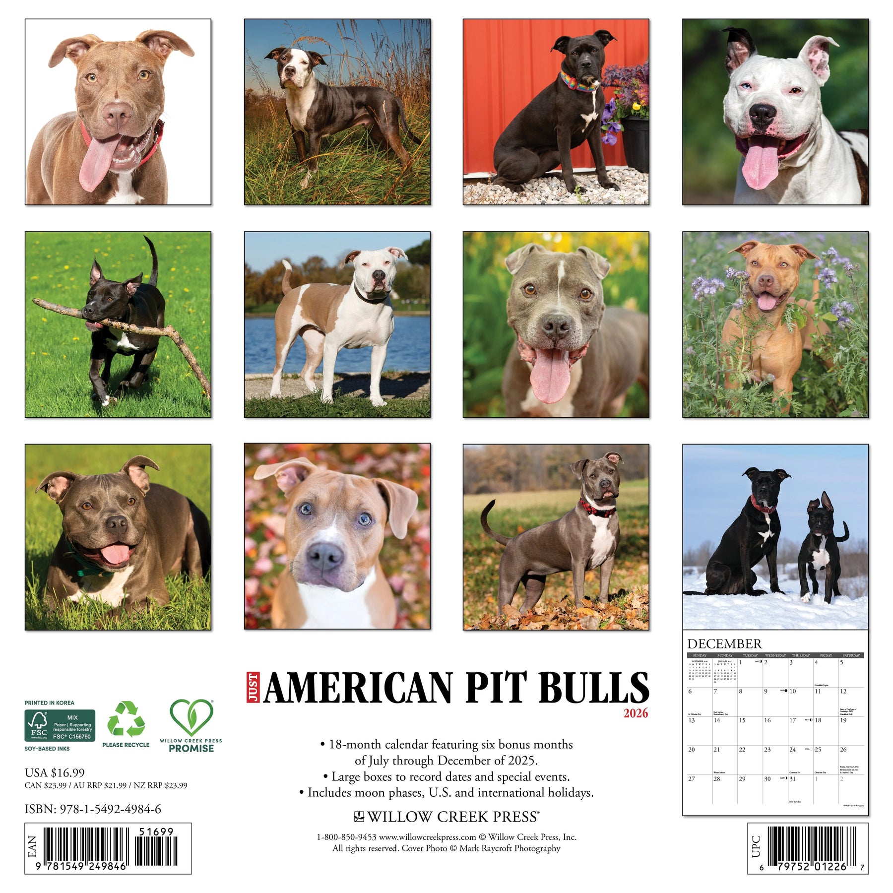 Willow Creek Press - 2026 American Pit Bull Terrier Calendar